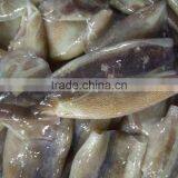 Zhengyuan Frozen Illex Squid Tube thumbnail-3