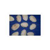 Vietnam Ark Shell thumbnail-1