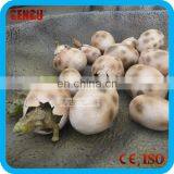 Kids Amusement Park Cute Prehistoric Eggs Dinosaur Model thumbnail-1