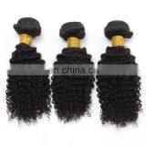 8A Virgin Hair Kinky Curly 100% Natural Original Brazilian Human Hair for Black Women thumbnail-3