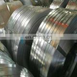 China EGI/Electro Galvanized Steel Trips/HDG/Galvanized Steel Trips Price