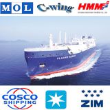 Professional Freight Forwarding Sea Cargo Shipping Freight Rate Amazon FBA to USA / UK / Australia