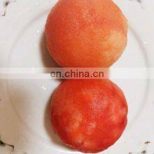 5T per Hour Industrial Automatic Steam Potato Carrot Tomato Peeling Machine thumbnail-5