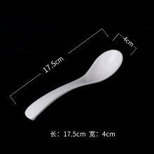 Chinese Round Bowl, Square Plate, Spoon Cutlery Set, PLA Biodegradable Durable Glossy Tableware thumbnail-3
