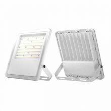 LED Floodlight