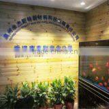 Quanzhou Mijast New Materials & Technology Co., Ltd. company overview - view 1 thumbnail