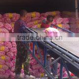 China Red Garlic Price Store Garlic thumbnail-4