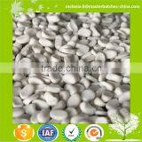 Plastic PE/PP Filler Masterbatch Price