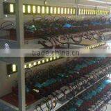 Guangzhou Hongy Trade Co., Ltd. company overview - view 1 thumbnail