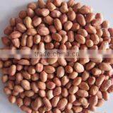 China Dried Peanut Kernel Baisha