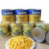 All Kinds of Canned Food Canned Sweet Corn