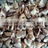 Top Quality China Mushroom With Good Price thumbnail-6