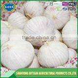 Good Price of Single Clove Garlic Packing With ISO9001 Certificate thumbnail-4