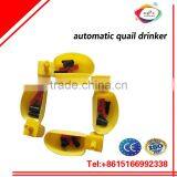 Energy Saving Automatic Pigeon Feeder
