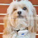 Ultrasonic Bark-Stop Collar for Dogs (for Barking Control) thumbnail-6