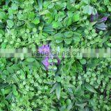 CHY040901 Decorative Garden Wall/ Hanging Wall Withplants/vertical Plant Wall thumbnail-4