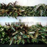 Home and Outdoor Decoration Synthetic Cheap Artificial Vertical Green Grass Wall E08 04R18 thumbnail-2