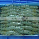 Frozen Black Tiger Shrimps HOSO thumbnail-1