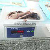 Best Season Frozen Seafood thumbnail-1