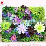 2015 Artificial Vertical Garden Wall Covering Artificial Succulents Plant Wall