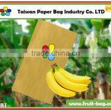 TPBI Cultivator Grow Protective Paper Bag Banana Growing Paper Bag thumbnail-1