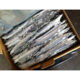 Supply Pacific Saury thumbnail-1