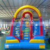 Giant Water Slide Baby Kids Outdoor Toy Inflatable Slide for Kids and Adult Play thumbnail-2