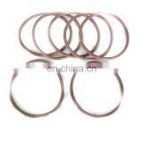 NTA855 K19 K38 Injector Ring 193736 Cummins Generation Engine