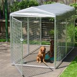 European Style Metal Welded Mesh Dog Kennel Large Animal Cages