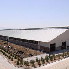 Prefabricated Light Steel Structure Cattle Barn Cattle Farm thumbnail-1