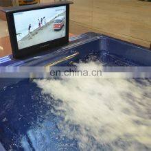 Fiber Swimming Pool/balboa Swim Spa/above Ground Pool thumbnail-5