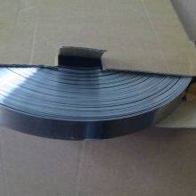 Stainless steel strip