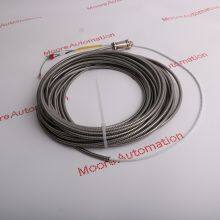 Bently Nevada 16710-65 thumbnail-4