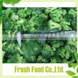 supply grade A frozen fresh broccoli