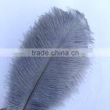 New Style Natural 10-12 Inch Ostrich Plumes for Party Decorations thumbnail-4