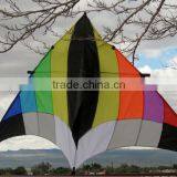 3m Delta Kite