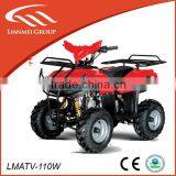 110cc Newsports Dune Buggy Made in China Withh CE/EPA thumbnail-1