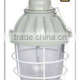 BAD51 High Quality Professional Explosion Proof Energy Saving Lamp thumbnail-3