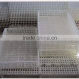 OEM / ODM Customized Hot Sale Plastic Chicken Poultry Cage in Shanghai thumbnail-5