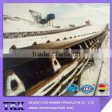 Nn100 Conveyor Belt for Cold Condition