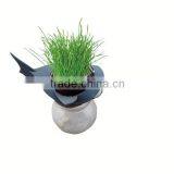 Specialized Where to Get Party Decorations Places Buy Birthday Supplies Online