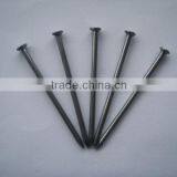 Construction Iron Nail/common Wire Nail(ISO9001) thumbnail-1