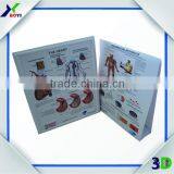 Custom 3D Anatomical Wall Chart Manufacturer thumbnail-5