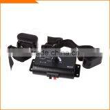 Dog in Ground Pet Fencing System thumbnail-2