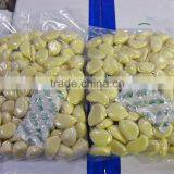 2015 Shandong IQF frozen peeled garlic cloves