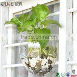 New Design Fashion Round Acrylic Aquarium