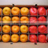 Fresh Baby Mandarin Orange Citrus Fruits thumbnail-3