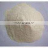 wheat gluten powder