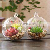 Hanging Plant for House Decoration Diy House Terrarium for Christmas and Home Decoration