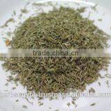 Thyme TBC ,Herbal Tea 2016 Crop Best Quality and Best Price thumbnail-1